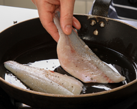 Como grelhar peixe na frigideira sem despedaçar? TudoGostoso ensina o truque para deixar o filé douradinho e suculento