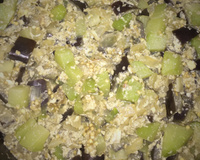 Berinjela com chuchu