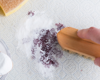 Adeus lavanderia: esfregue esse ingrediente simples no carpete e ele ficará como novo, livre de ácaros e macio