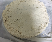 Tofu caseiro (queijo de soja)