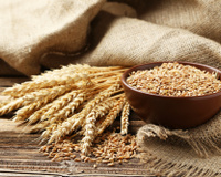 O levedo de cerveja é rico em benefícios e merece ser incluído em sua rotina alimentar. Confira!