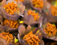 Brigadeiro gourmet de doce de leite