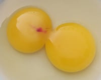 O que é a mancha vermelha no ovo: TudoGostoso explica se pode comer ou se deve descartar