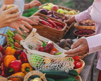 Do quintal da vovó para a mesa: 3 vegetais esquecidos que ganharam destaque novamente no TudoGostoso