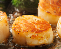 O que é e como preparar vieira