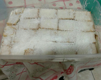 Biscoitos navegantes