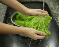 Como higienizar alface: vinagre, água sanitária e até limão lavam bem suas verduras