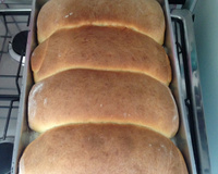 Pão de leite caseiro fácil