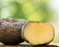 Glucomanano funciona mesmo? Suplemento ganhou fama de “ozempic natural”, mas é preciso consumir do jeito certo para não ter problemas