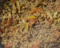 Carne de soja da Carina