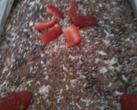 Bolo de chocolate de liquidificador