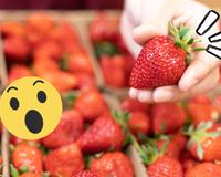 Com essa dica preciosa você vai remover o talo do morango em segundos, sem esforço e sem danificar a fruta. Perfeito, né?
