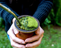 Adeus ao cansaço: a erva que potencializa o mate e melhora a concentração