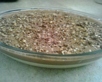 Pavê de diamante negro