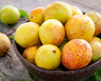 O que é mangaba? Conheça a fruta de polpa suculenta que faz muito bem para a saúde; descubra benefícios!