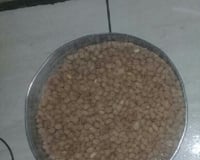 Amendoim doce super crocante