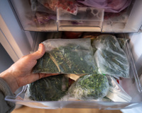 Como manter o aroma dos temperos verdes: método de congelamento que funciona