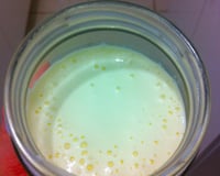 Requeijão caseiro (simples e barata)