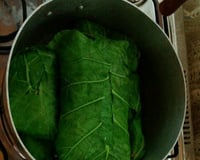 Charuto com folha de couve