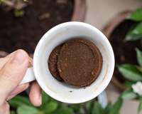 Um tesouro na sua xícara: poucos sabem o poder da borra de café para transformar essas plantas