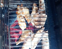 Tilápia simples assada na brasa