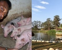 Longe dos holofotes, Pelé tinha uma fazenda de 700 hectares, cercada pela Mata Atlântica, onde criava peixes, porcos e gado, um verdadeiro refúgio que foi deixado para sua família