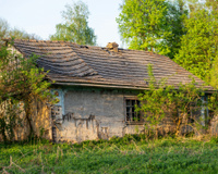 Uma família queria viver exclusivamente de energia solar, água de poço e uma horta. Até que a Itália levou seus filhos embora.