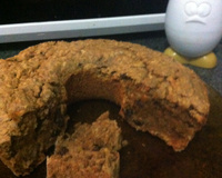 Bolo integral diet de cenoura, maçã, castanha e passas