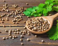 Culinária nordestina: os principais temperos típicos no nordeste