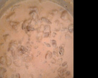 Estrogonofe de frango básico