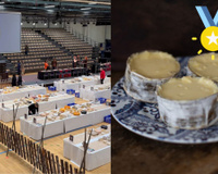 Único queijo brasileiro com “superouro” no World Cheese Awards é de Santa Catarina e não tem lactose