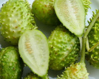 Poucos lembram desse vegetal, mas ele é um dos mais poderosos: aprenda como fazer maxixe de um jeito delicioso