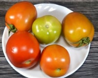 Como fazer os tomates amadurecerem mais rápido? TudoGostoso ensina truque simples que vai te surpreender