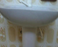 Torta salgada 2 recheios