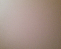 Lagarto Recheado Assado