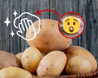 Batata e ingrediente simples que você tem na cozinha formam dupla mágica na limpeza da casa