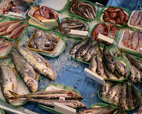 Semana do Pescado tem preços especiais e descontos em tilápia, camarão, atum e mais: saiba como funciona