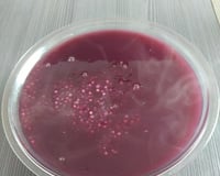 Sagu de sachês de suco de uva