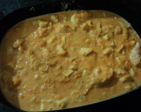 Frango ao molho de abóbora cabocha e requeijão