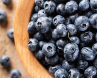 Mirtilo: a superfruta ignorada por muitos e repleta de benefícios ocultos para a saúde