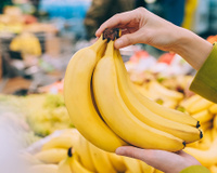 Banana de cabo curto é realmente mais doce? A ciência tem a resposta