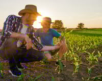 Por que estamos plantando de novo alimentos que nossos avós comiam e qual é o impacto disso na saúde