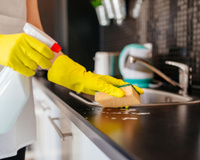 Como evitar insetos na cozinha: dicas simples para afastá-los