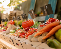 Lista de ouro: 10 alimentos com poucas calorias que matam a fome e cabem no bolso do brasileiro