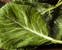 Esse é o jeito certo de guardar a couve e conservá-la fresca por mais tempo