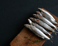 Estas são as sete espécies de peixes que não contêm mercúrio (e também são baratos)