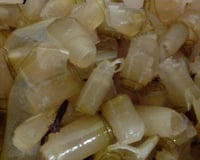 Doce de mamão enroladinho