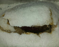 Picanha ao Forno com Sal Grosso