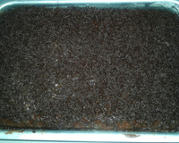 Bolo prestígio da Thatha