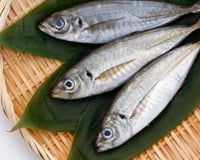 Peixes menos contaminados por metais pesados que são recomendados por especialistas por terem benefícios para cérebro, olhos e coração